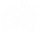GALLERY OF HUMANS