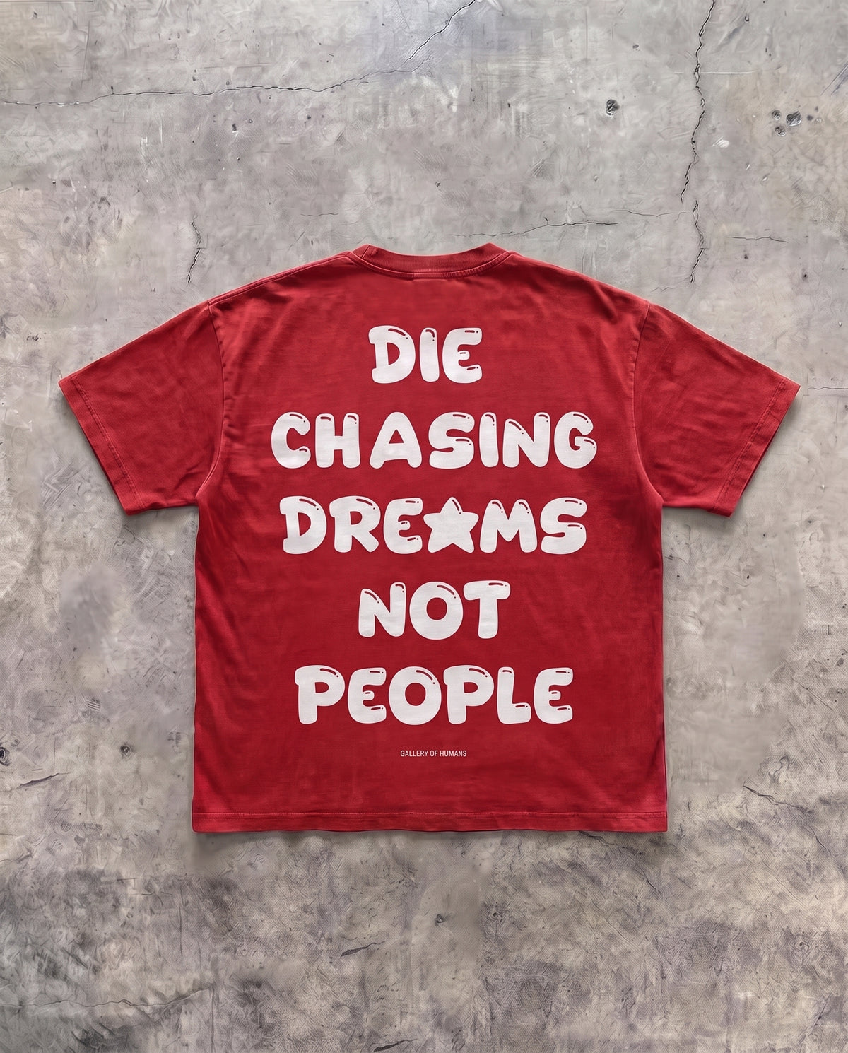 DIE CHASING DREAMS NOT PEOPLE-thumbmail-4